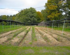 İmara Açık Arsa - Resim 4